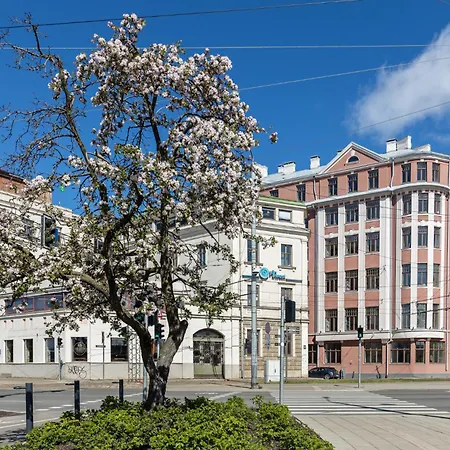 Comfortable Old Town Near Market Dzīvoklis *